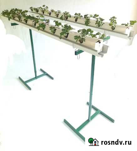 Тепличный лоток Октябрьский - изображение 1