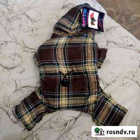 Костюмчик Дзержинск