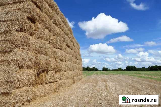 Сено посевное разнотравье Константиново - изображение 1