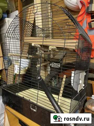 Клетка для попугая Кировск - изображение 1