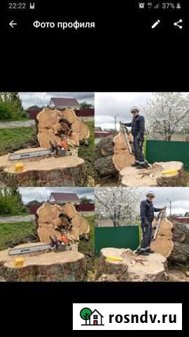 Спил деревьев Брянск - изображение 1