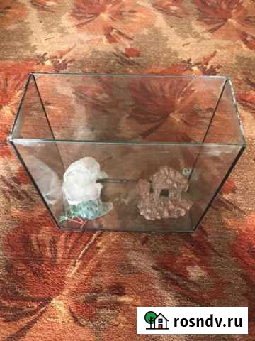 Аквариум Туапсе - изображение 1