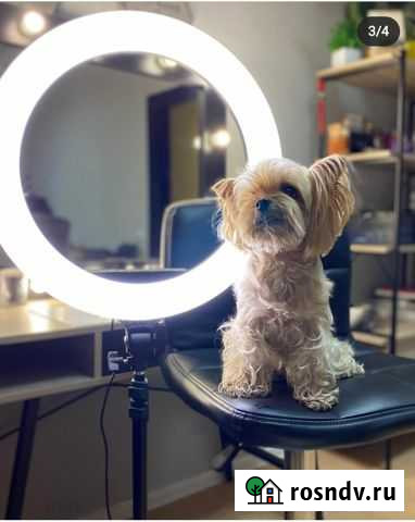 Кольцевые лампы Березовский - изображение 1