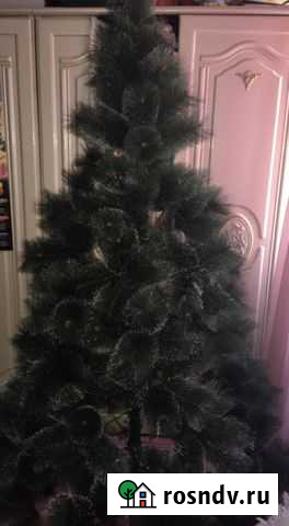Ёлка 2,40 Петропавловск-Камчатский - изображение 1