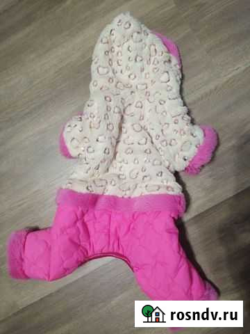 Одежда для собак Тихвин - изображение 1