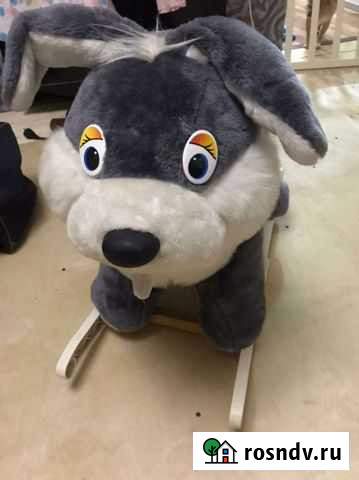 Заяц Норильск - изображение 1