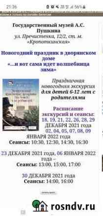 Билеты 28.12 Пушкинский музей новогодняя елка экск Москва