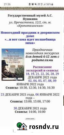 Билеты 28.12 Пушкинский музей новогодняя елка экск Москва - изображение 1