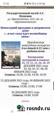 Билеты 28.12 Пушкинский музей новогодняя елка экск Москва - изображение 1