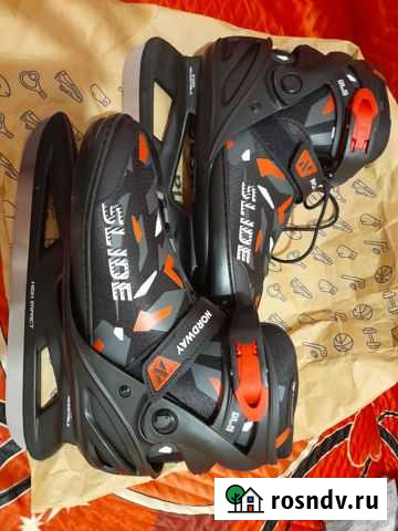 Коньки Мишкино - изображение 1