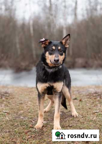 Грейс Ногинск - изображение 1