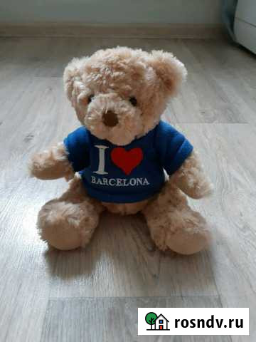 Мишка Челябинск - изображение 1