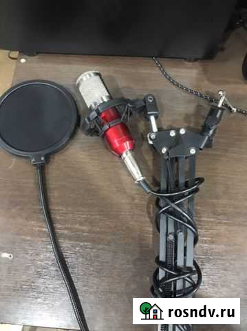 Игровой микрофон(студийный) Прямицыно - изображение 1