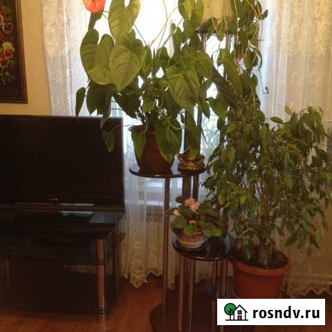 Шикарная многоуровневая подставка для цветов Остров - изображение 1