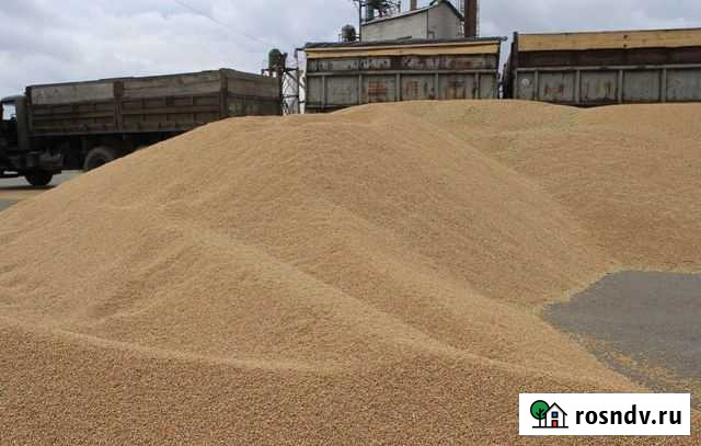 Пшеница,корма,лук,картофель,морковь,сено,солома Ильский - изображение 1