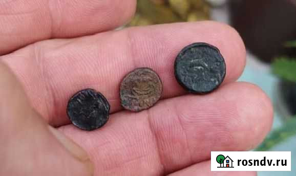 3 интересных античных монеты.Пантикапей Керчь - изображение 1