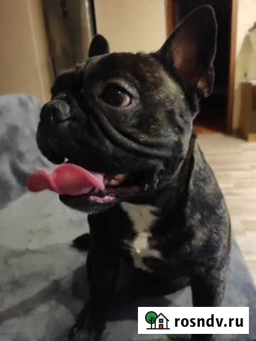 Вязка Рубцовск - изображение 1