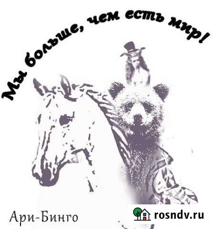 Стройдомино Санкт-Петербург - изображение 1