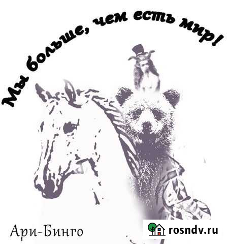 Стройдомино Санкт-Петербург - изображение 1