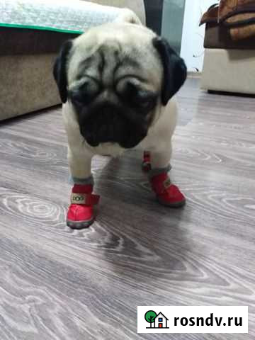 Меховые сапожки Салават - изображение 1