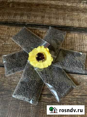 Семена для микрозелени (кратно 1 посадке) Ярославль - изображение 1