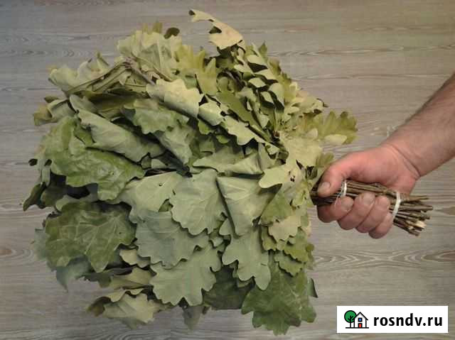 Веники дубовые для бани Богородск - изображение 1