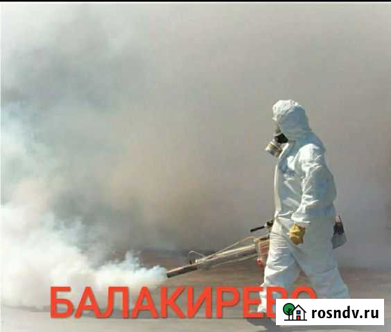 Уничтожение клопов, тараканов, блох, плесени, ос Балакирево - изображение 1