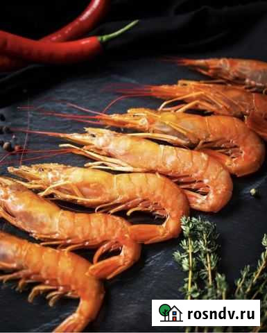 Аргентинская креветка Лангустины Л1 Павлово - изображение 1