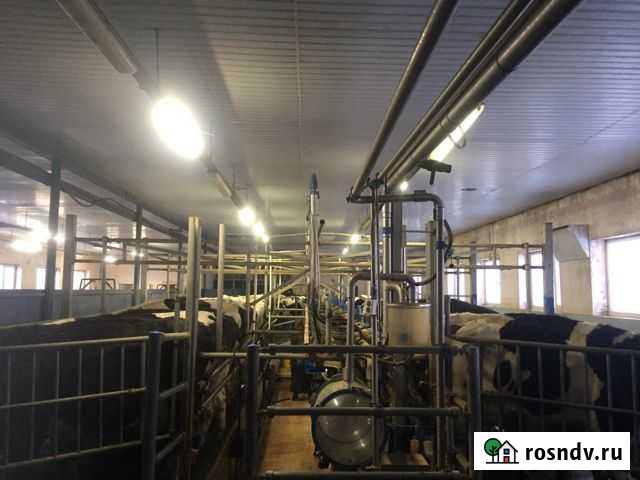 Оператор доильного зала Бижбуляк - изображение 1