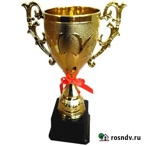 Наградная атрибутика Псков - изображение 1