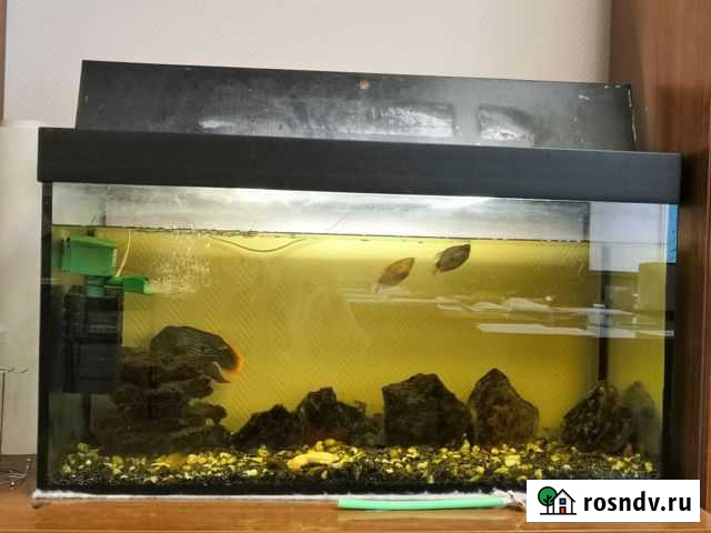 Аквариум Рязань - изображение 1