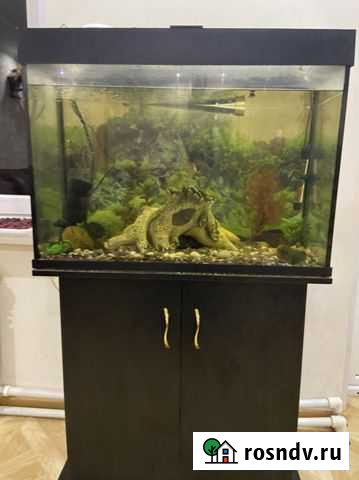 Аквариум Новомосковск - изображение 1