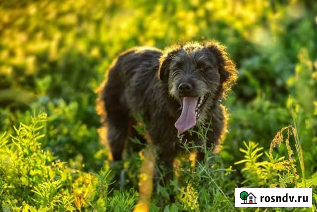 Лора Курск - изображение 1