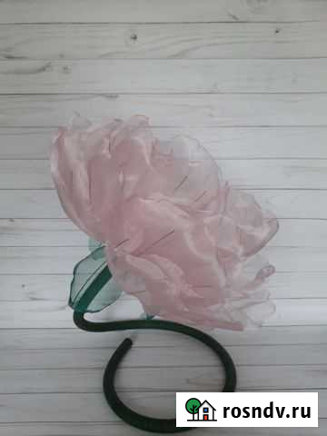 Интерьерный цветок Арзамас - изображение 1