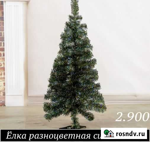 Ёлка интерьерная в горшке Яблоновский - изображение 1