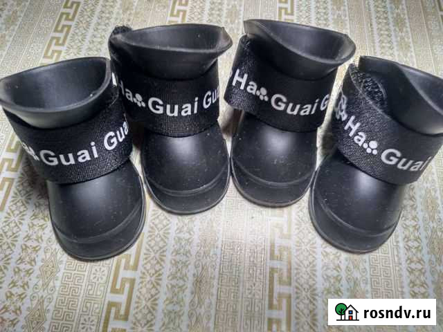 Обувь для животных Заволжье - изображение 1