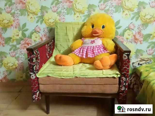 Кресло раскладное Астрахань - изображение 1