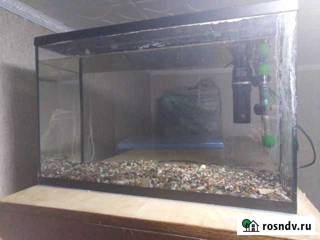 Аквариум Новозыбков - изображение 1