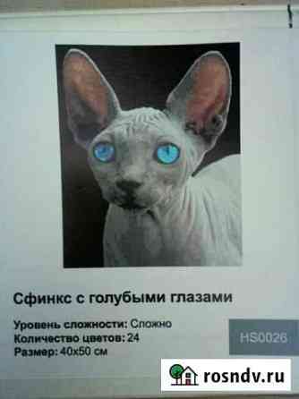 Картина по номерам (недорисованная) Липецк