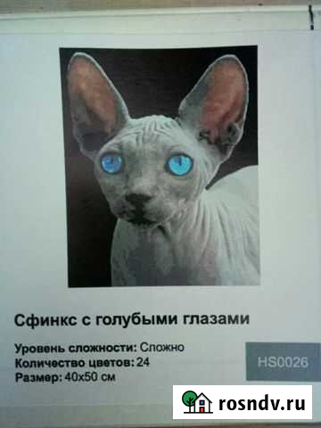 Картина по номерам (недорисованная) Липецк - изображение 1