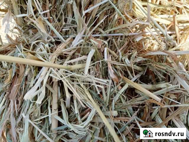 Сено в тюках Ейск - изображение 1