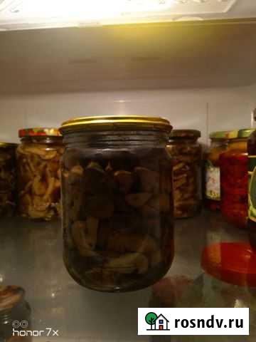 Грибы Черногорск - изображение 1