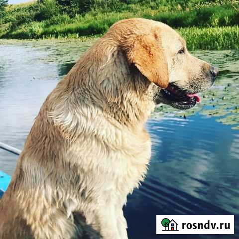 Вязка Новомосковск - изображение 1