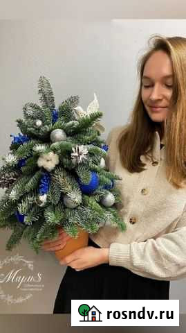 Елка Вологда - изображение 1