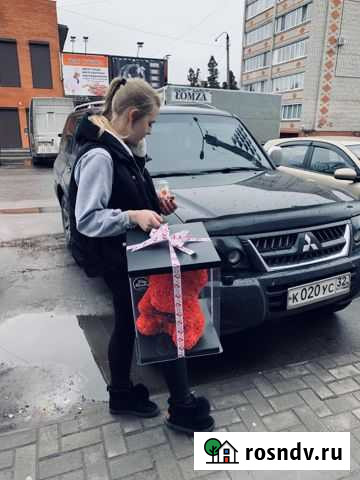 Мишка из роз Новозыбков - изображение 1