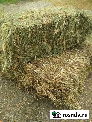 Урожай 2021,сено и солома Красное-на-Волге - изображение 1
