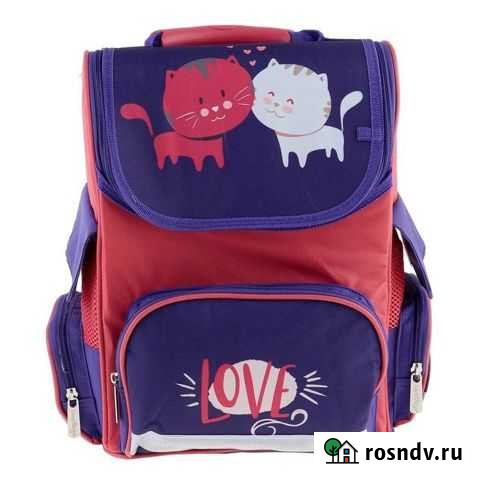 Ранец школьный для девочки Магнитогорск - изображение 1