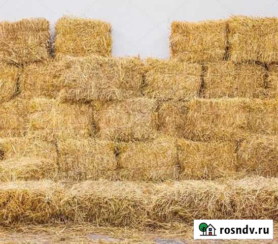 Солома в тюках (Бесплатная доставка) Видное - изображение 1