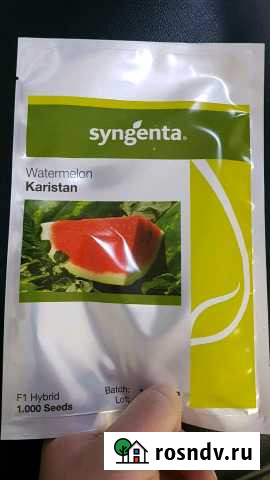 Арбузы семена Каристан, Осман, Скиф и другие Астрахань - изображение 1