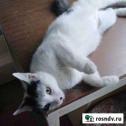 Славка Саратов - изображение 1